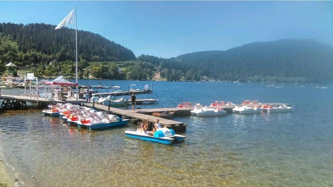 La Perle Au Bord De La Riviere Leilighet Gérardmer Eksteriør bilde
