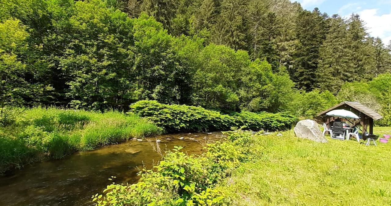 La Perle Au Bord De La Riviere Leilighet Gérardmer Eksteriør bilde