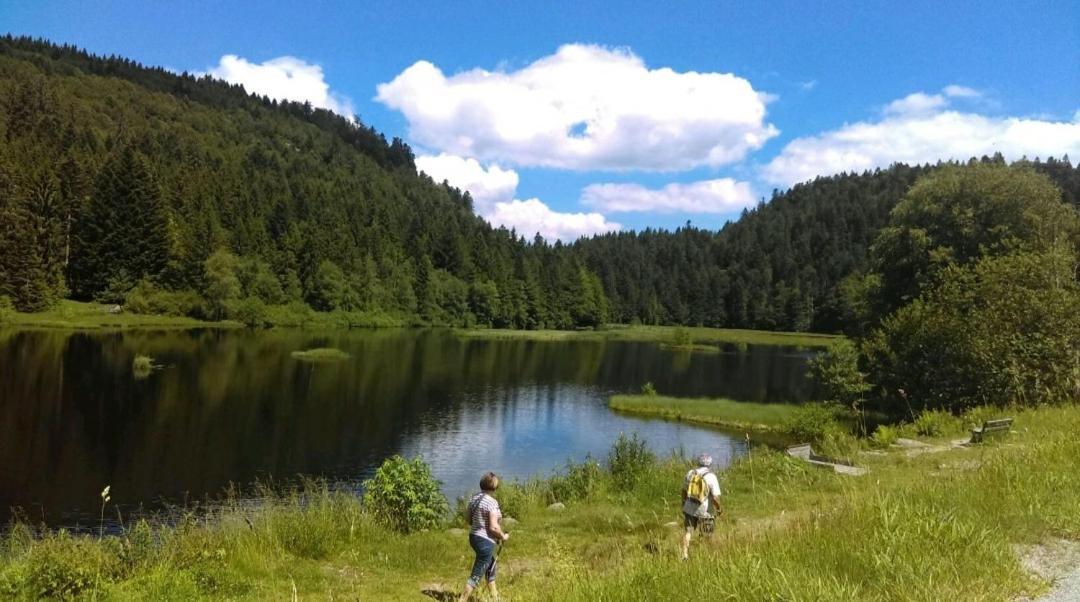 La Perle Au Bord De La Riviere Leilighet Gérardmer Eksteriør bilde