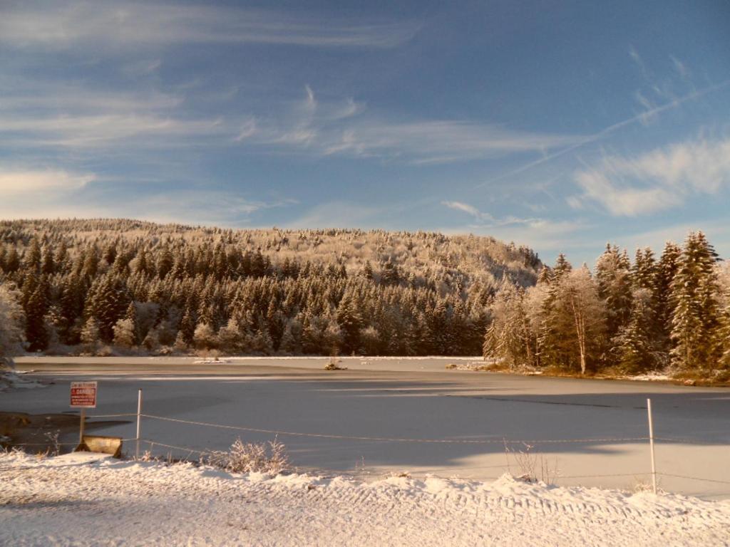 La Perle Au Bord De La Riviere Leilighet Gérardmer Eksteriør bilde
