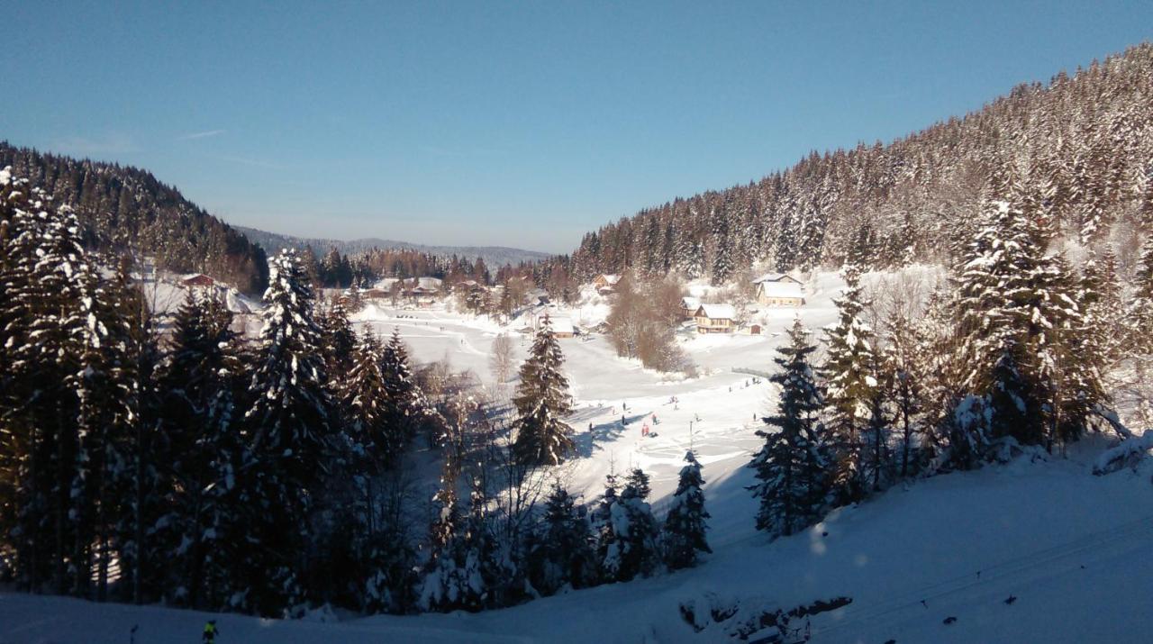 La Perle Au Bord De La Riviere Leilighet Gérardmer Eksteriør bilde