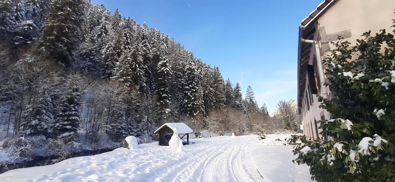 La Perle Au Bord De La Riviere Leilighet Gérardmer Eksteriør bilde